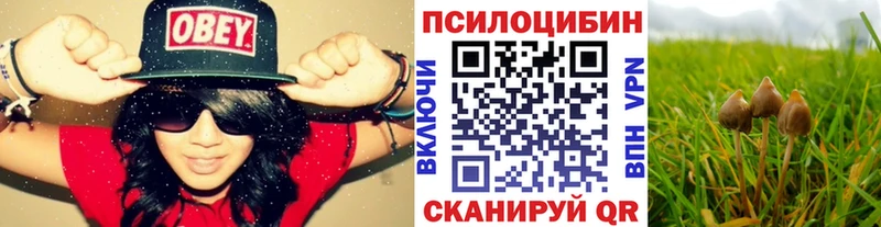 Псилоцибиновые грибы мицелий  Усолье 